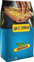 Насіння кукурудзи ДКС 3969