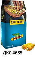 Насіння кукурудзи ДКС 4685