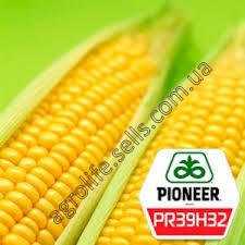 Насіння кукурудзи Піонер ПР39Г32 (PR38H32)