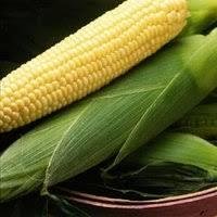 Насіння кукурудзи Піонер ПР38Н86 (PR38N86)