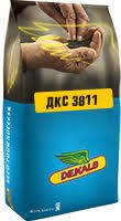 Насіння кукурудзи ДКС 3811